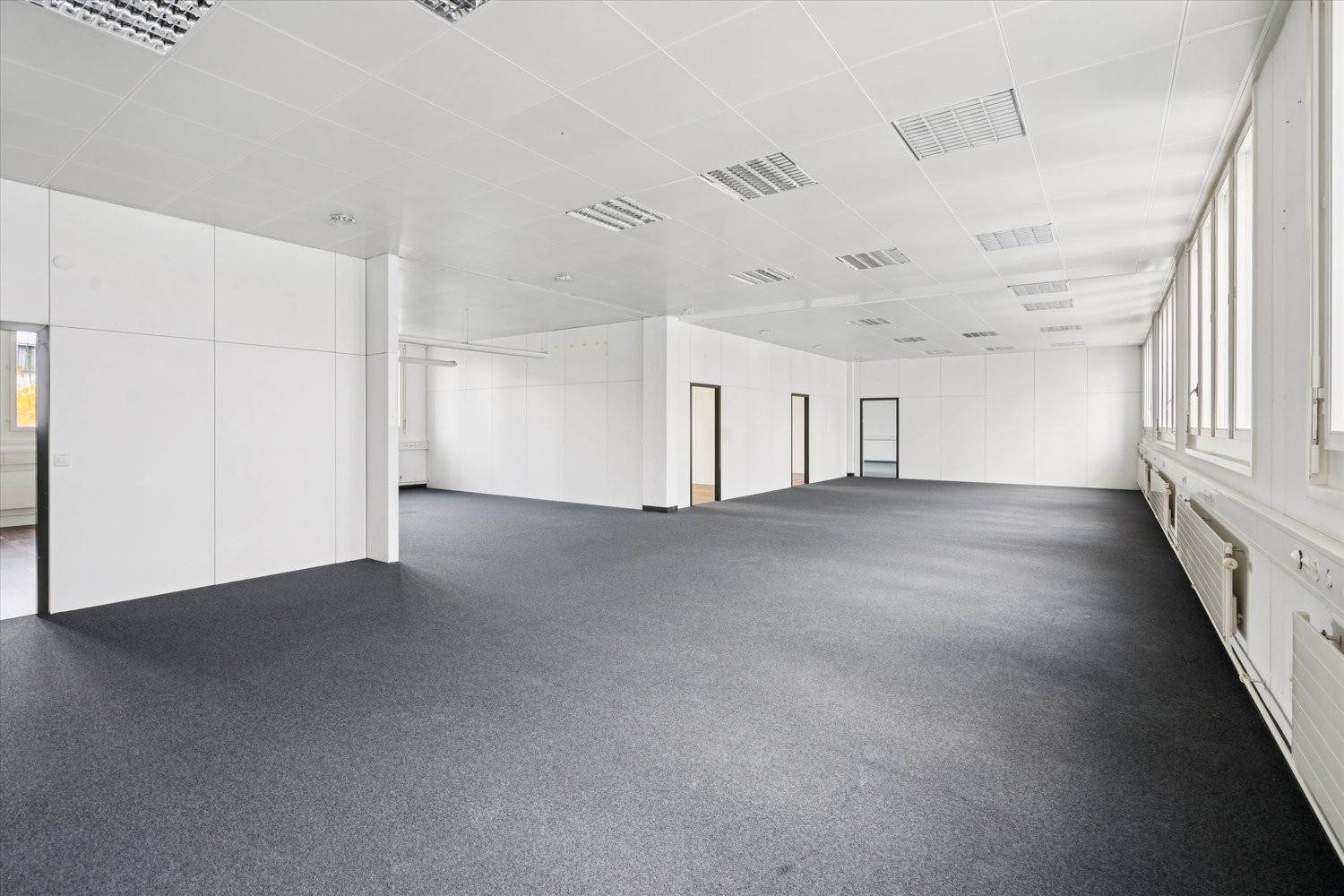 293m² commerciale