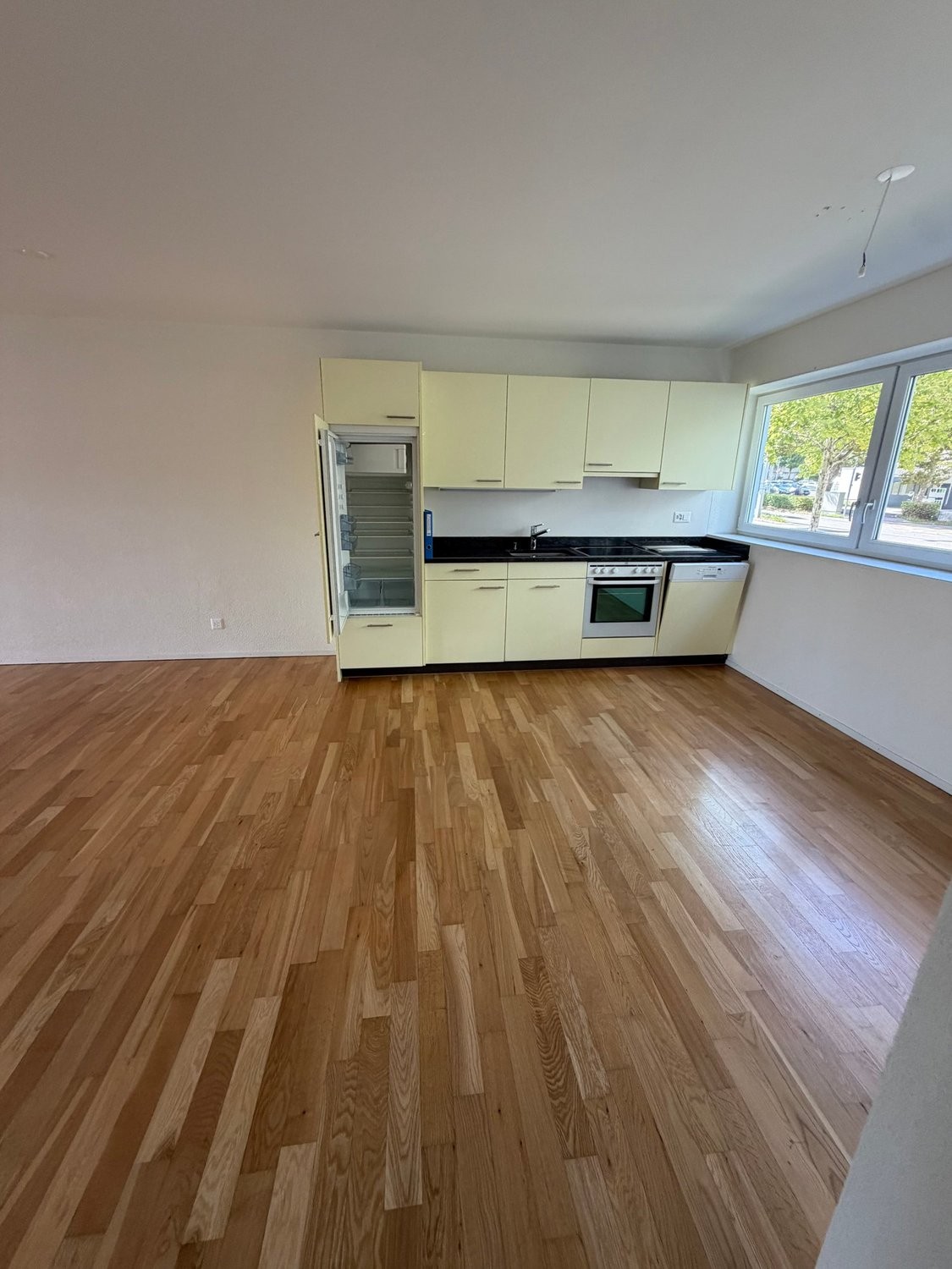 Appartamento di 2 ½ locali, foto 1 di 8