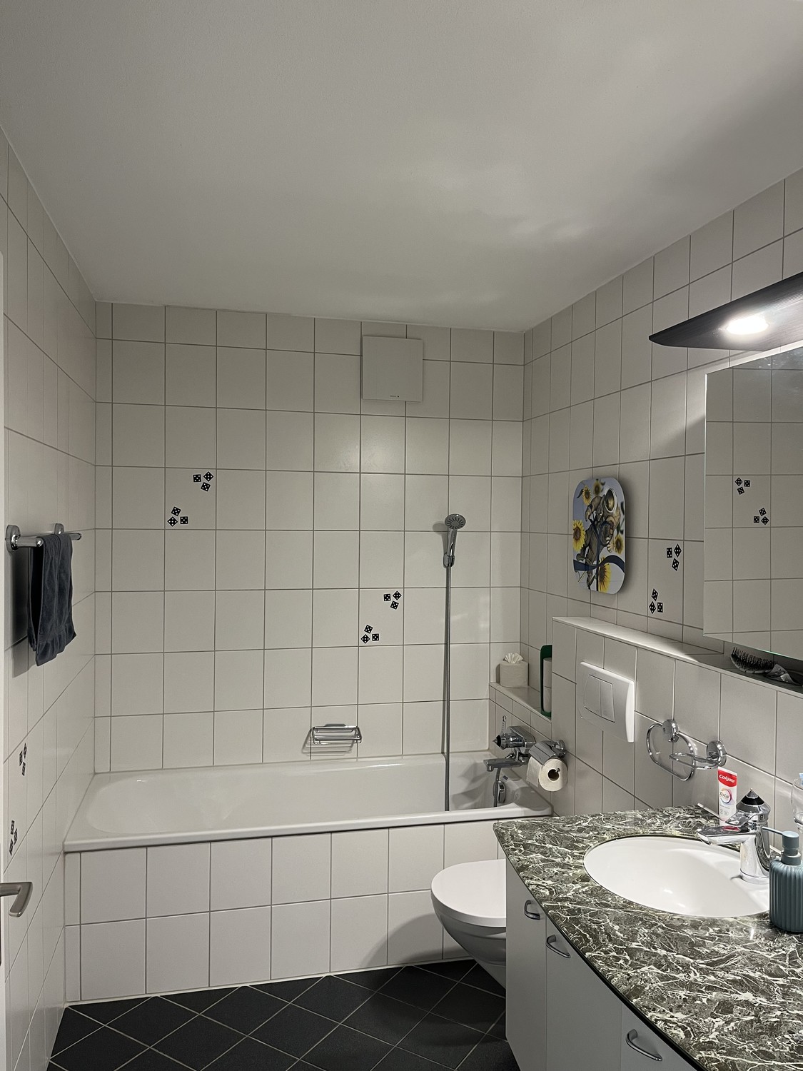 Appartement de 3 ½ pièces