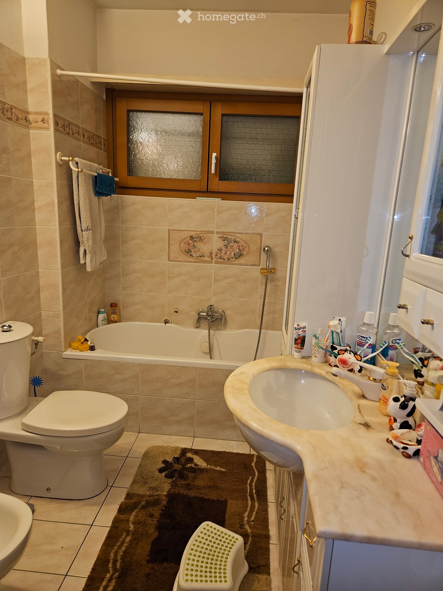 3 ½ Zimmer Wohnung