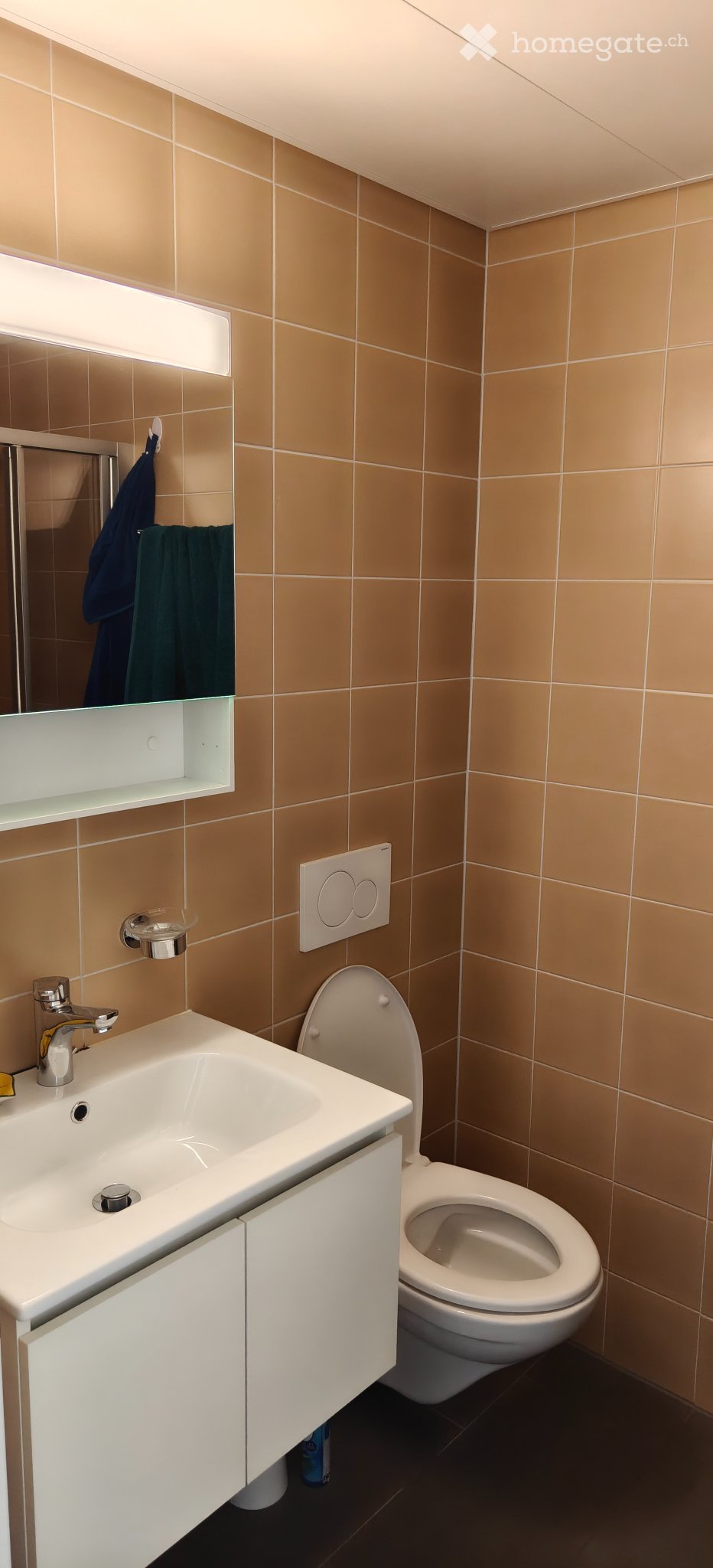 1 room apartment