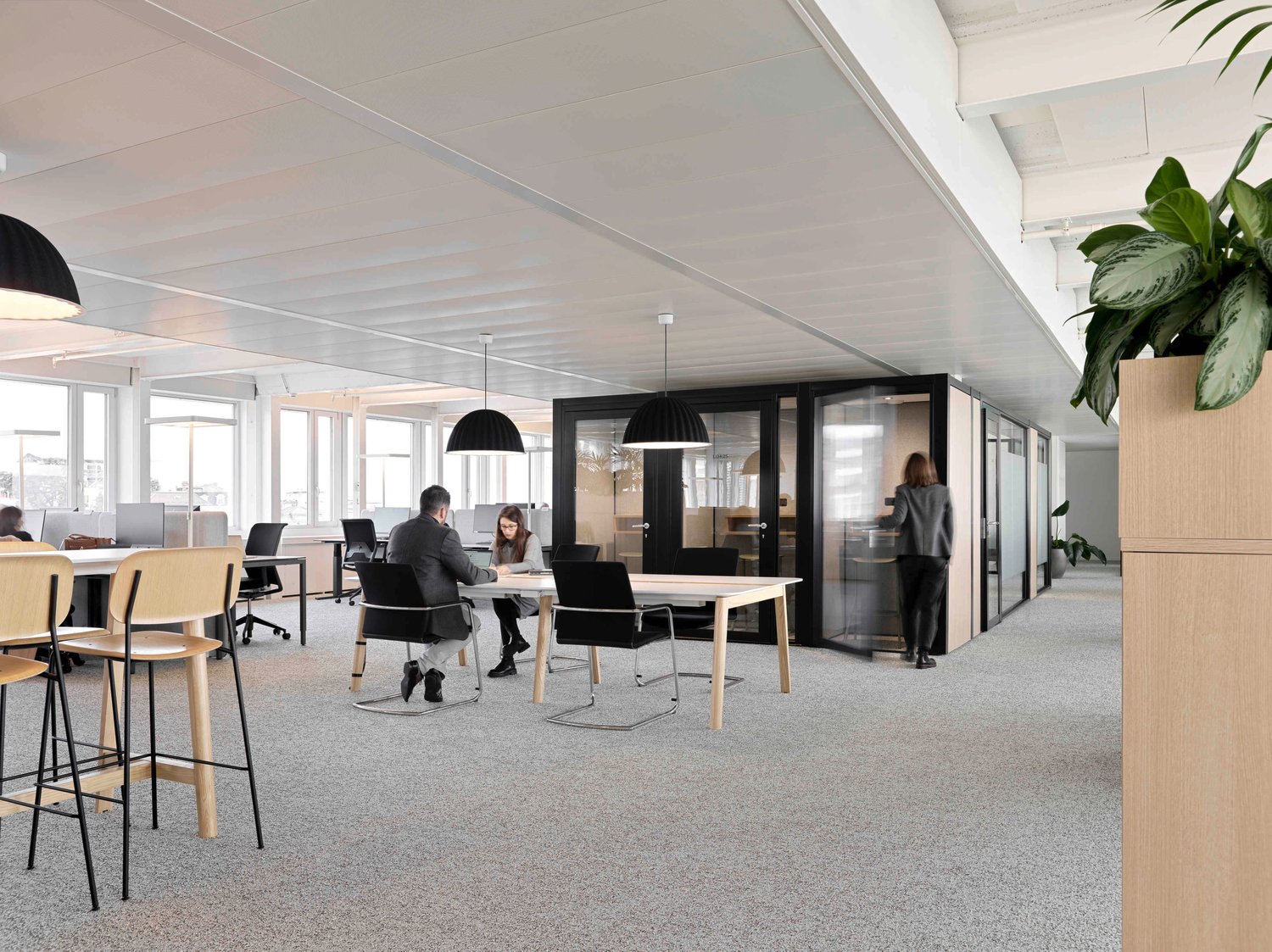 1294m² ufficio