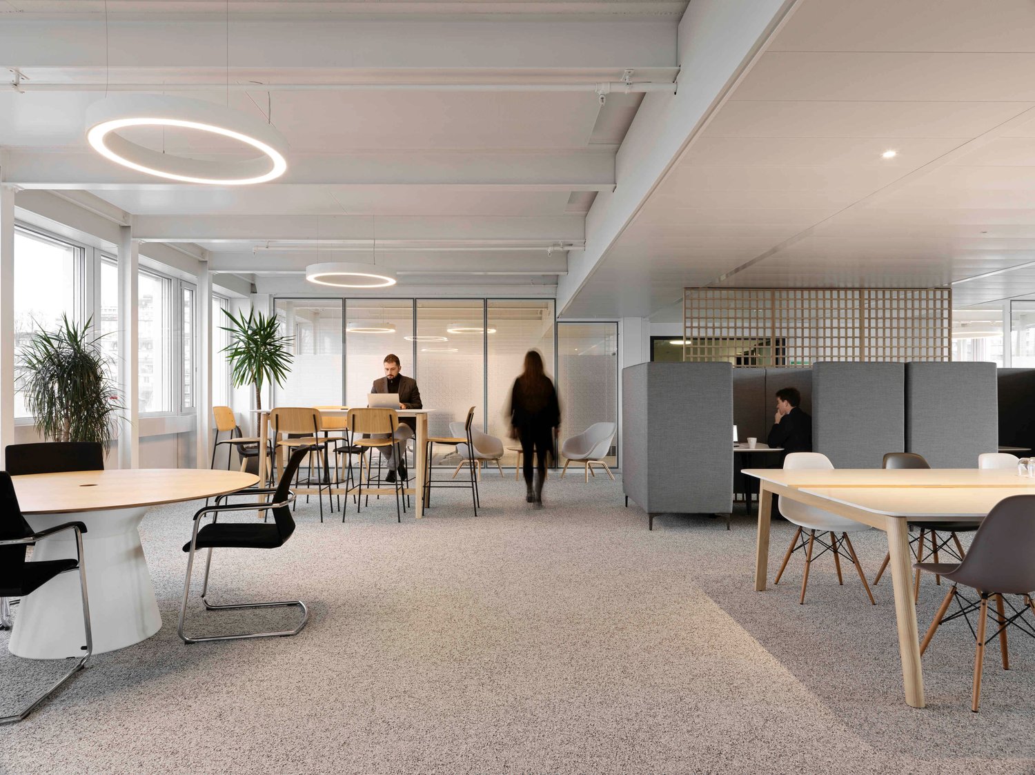 1294m² ufficio