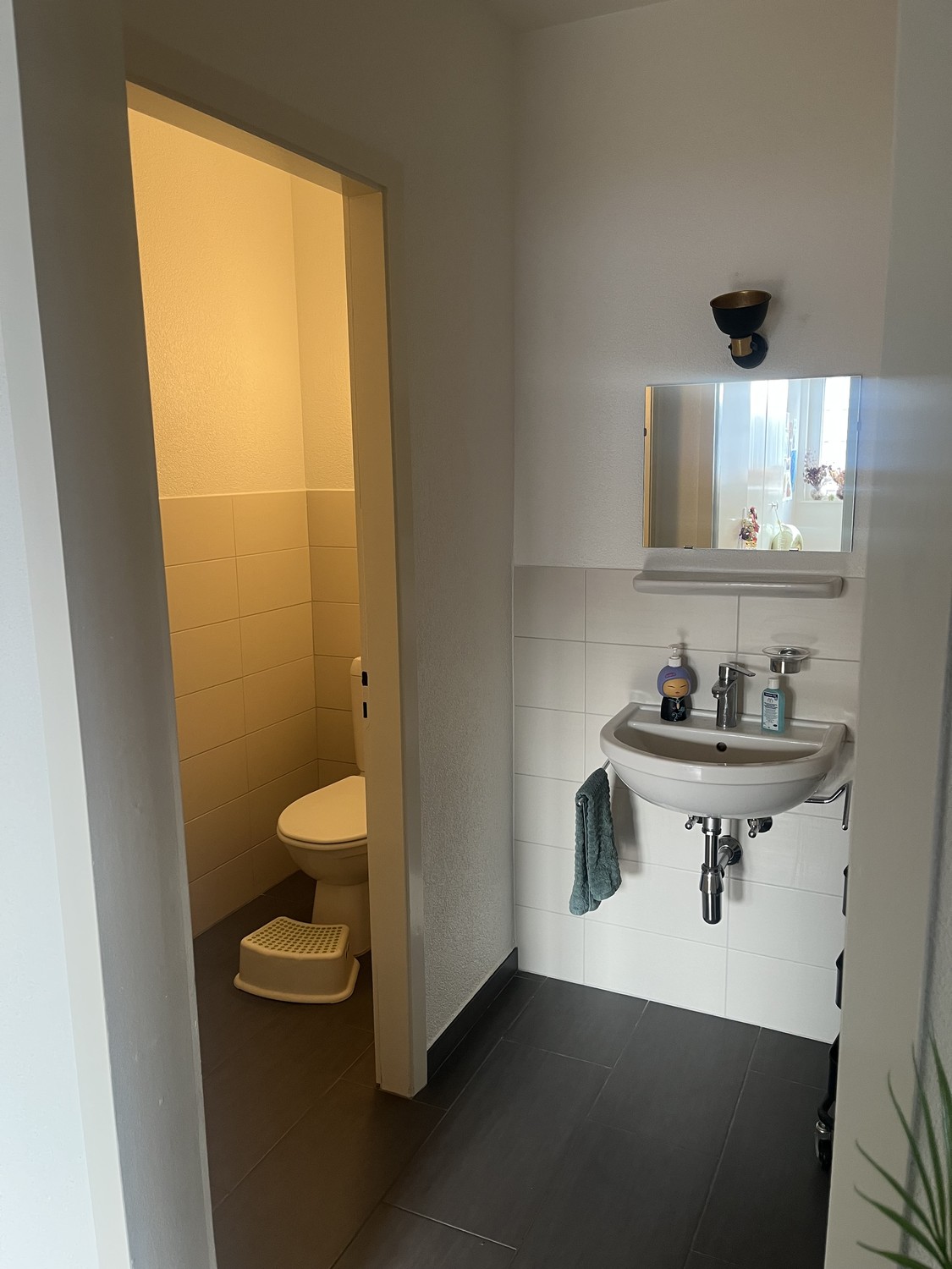 Appartamento di 5 ½ locali
