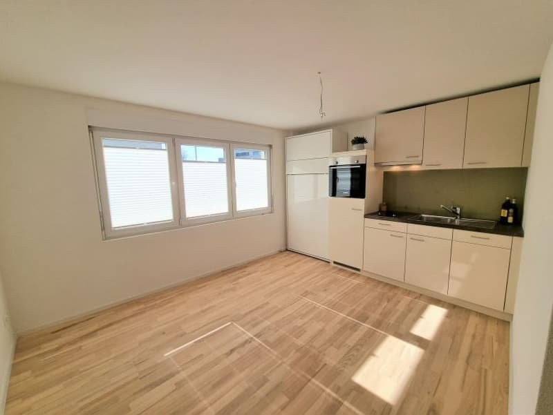 1 room apartment