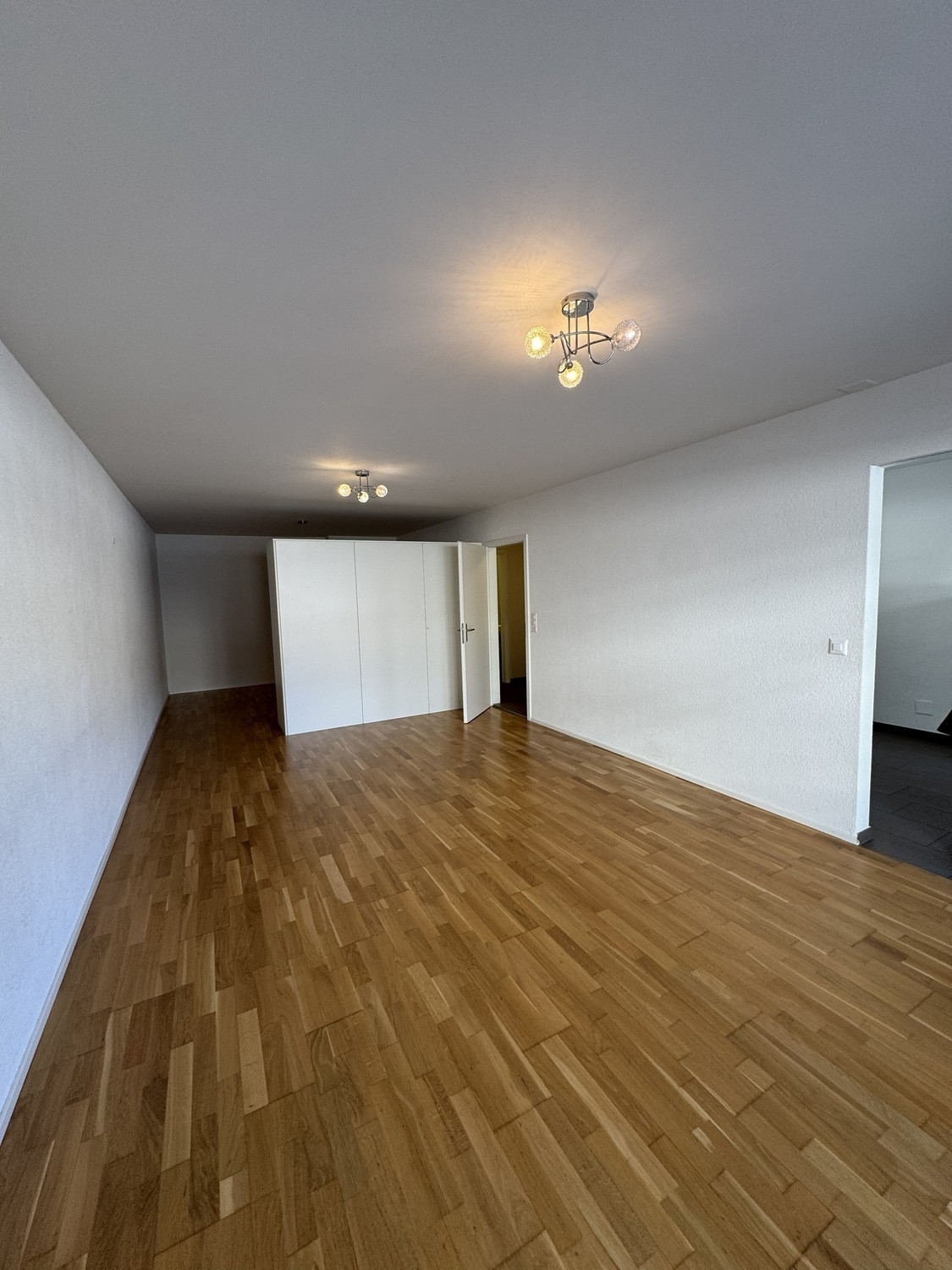 appartamento di 2 locali, foto 2 di 5