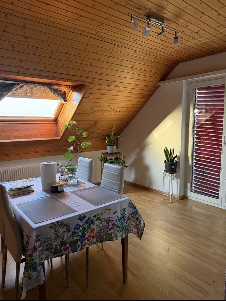 3 rooms apartment
