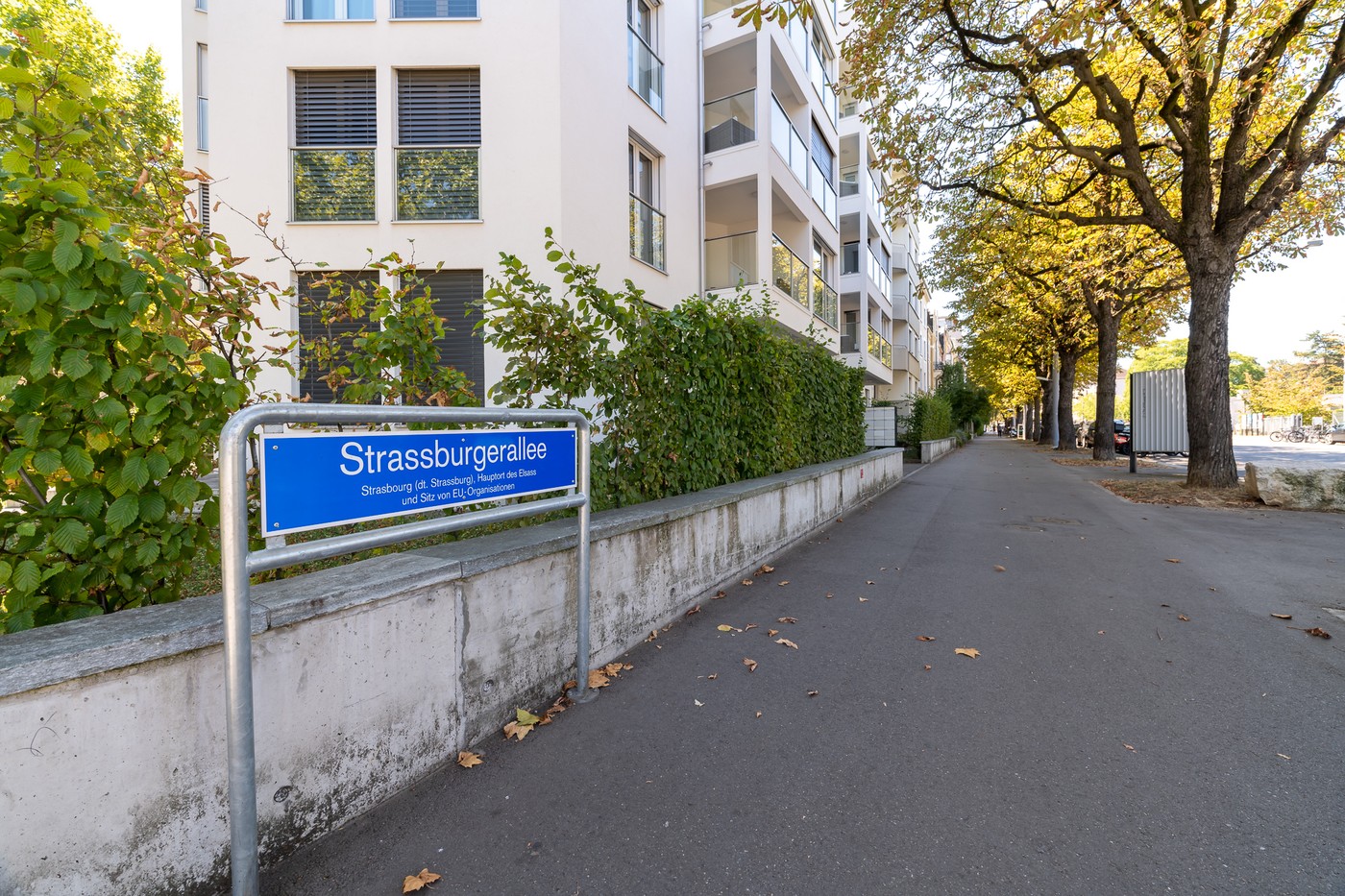 Appartamento arredato di 2 ½ locali, foto 8 di 8