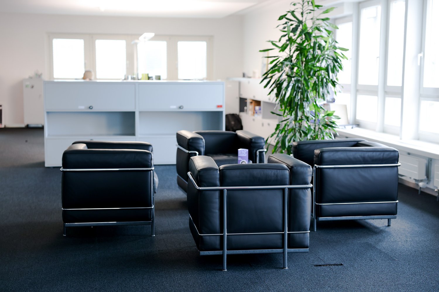 ufficio di 1586m²