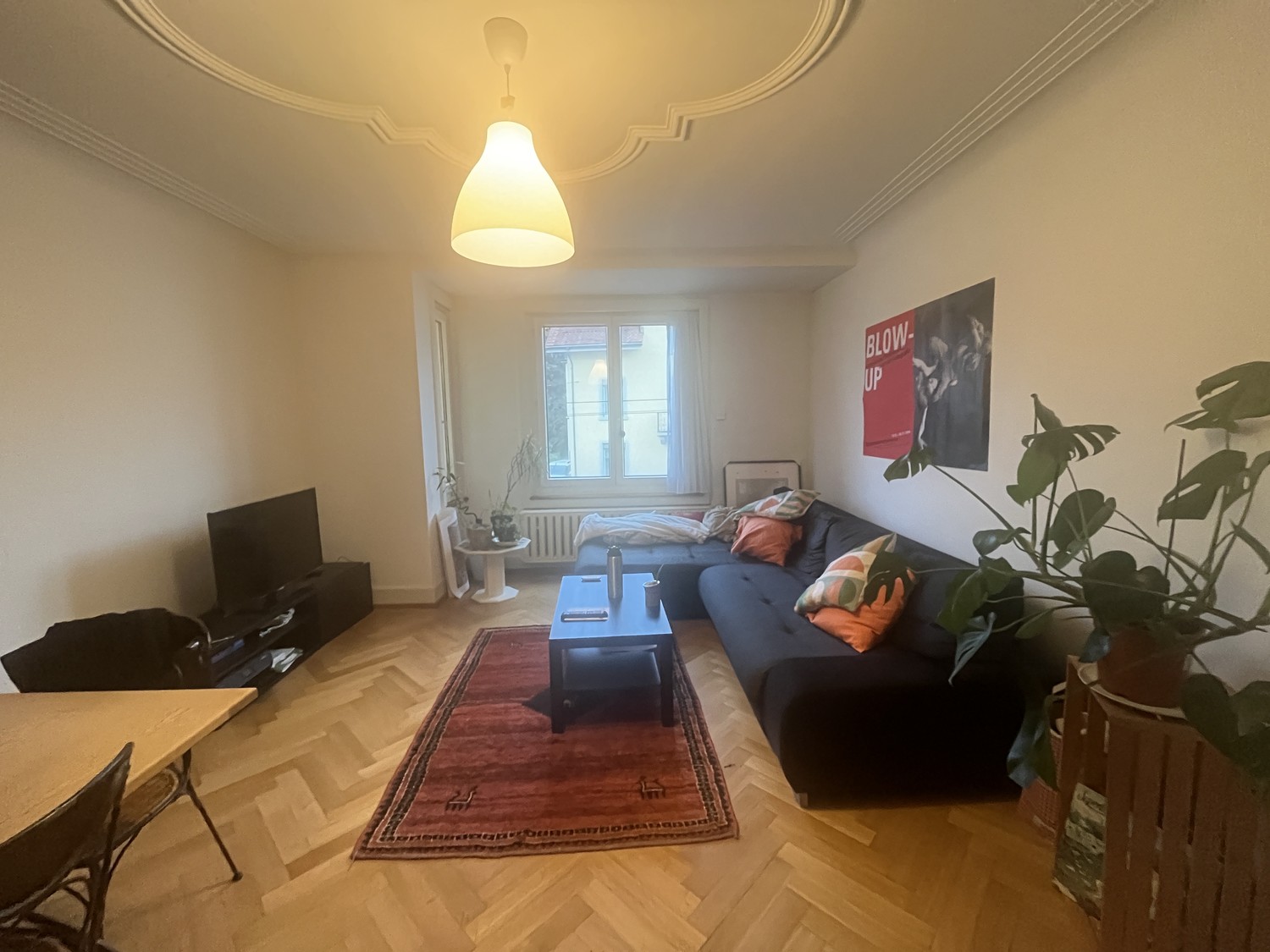 Room in a shared flat