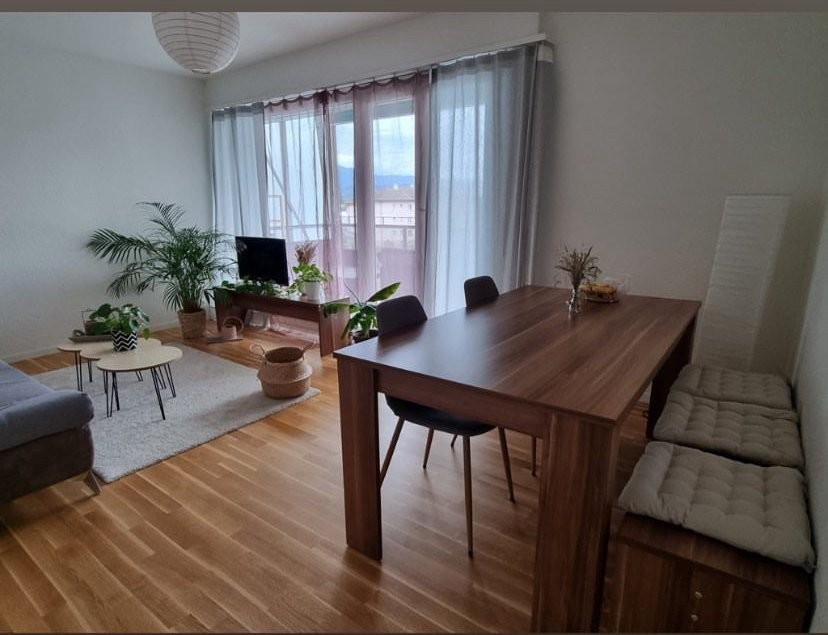 Appartamento di 3 ½ locali