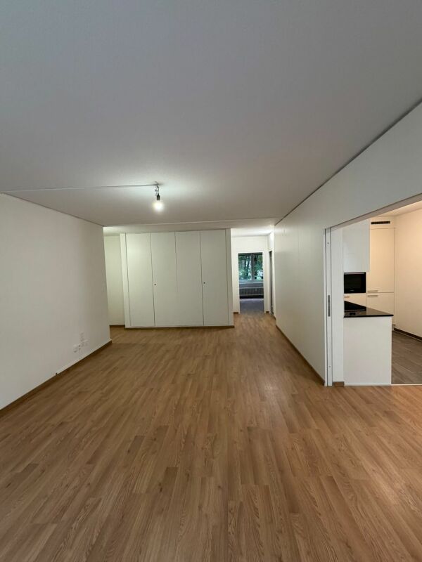 appartamento di 2 ½ locali, foto 2 di 7