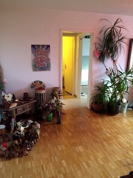 appartamento arredato di 2 ½ locali