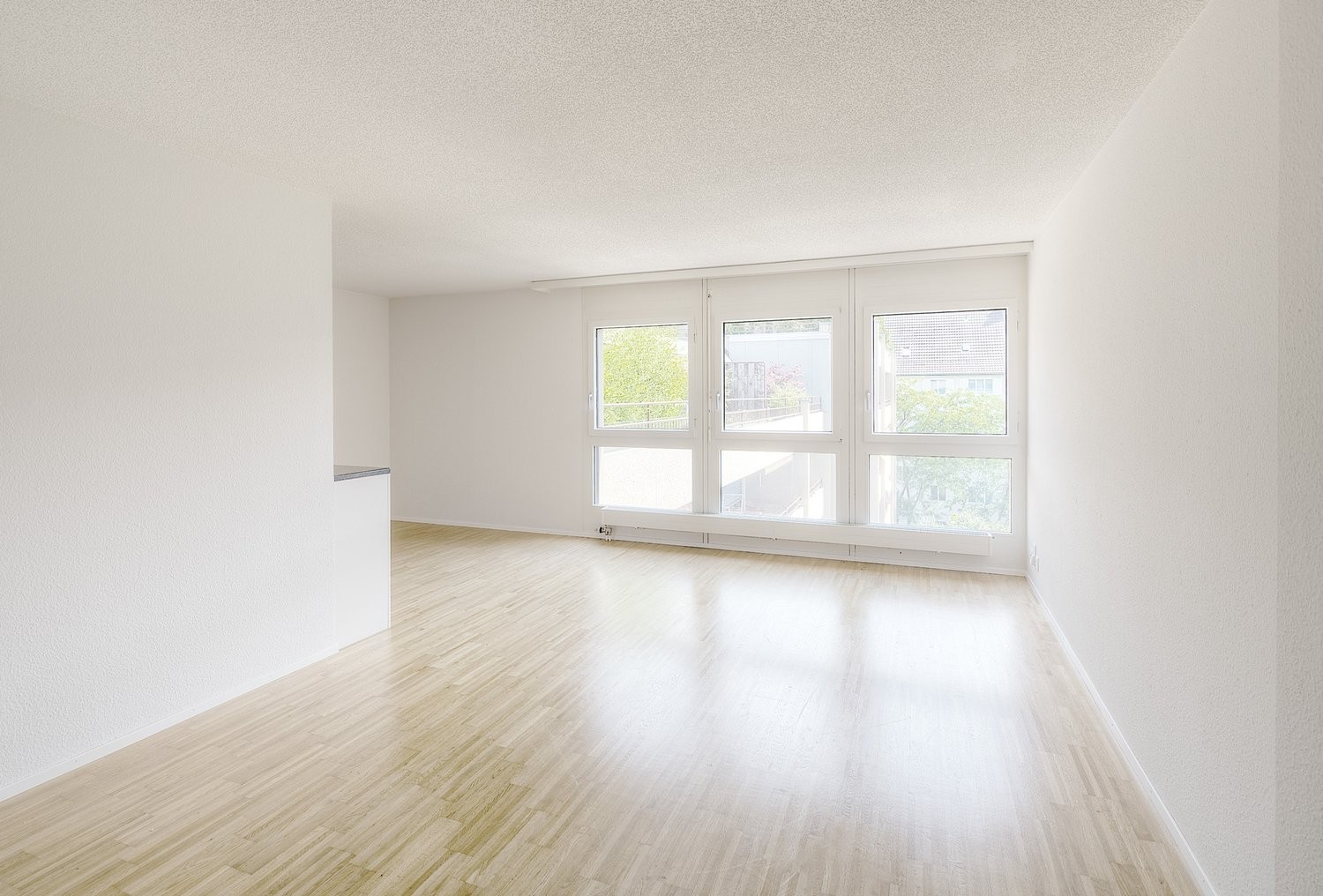 Appartamento di 2 ½ locali, foto 2 di 8