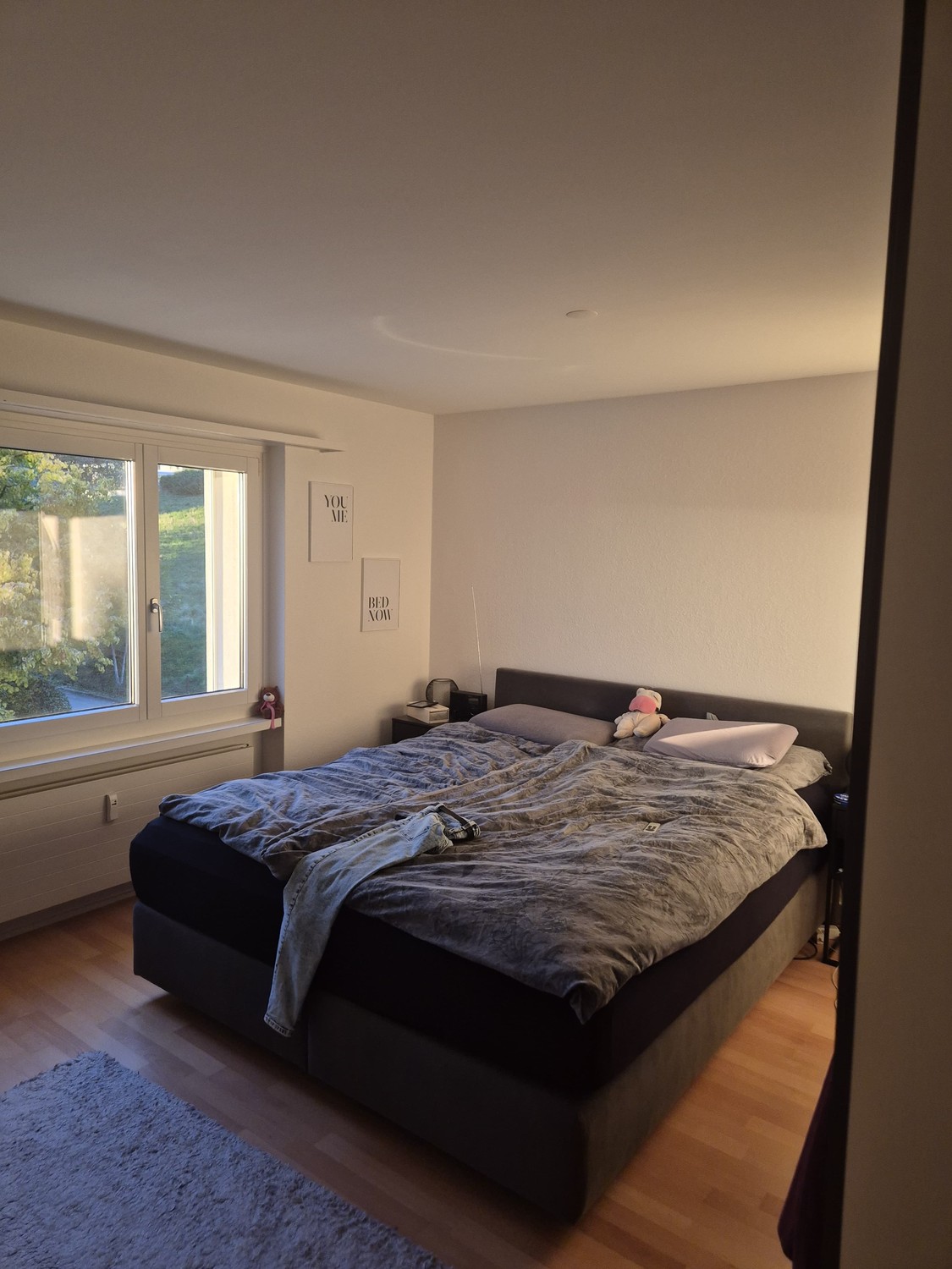 Appartamento di 3 ½ locali, foto 3 di 10