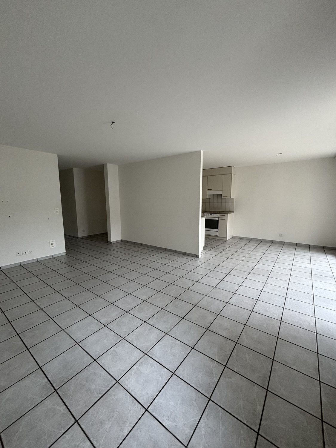 4 ½ pièces appartement