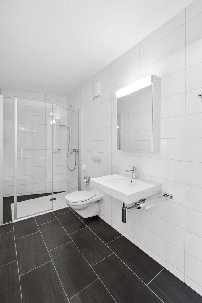 4 ½ pièces appartement