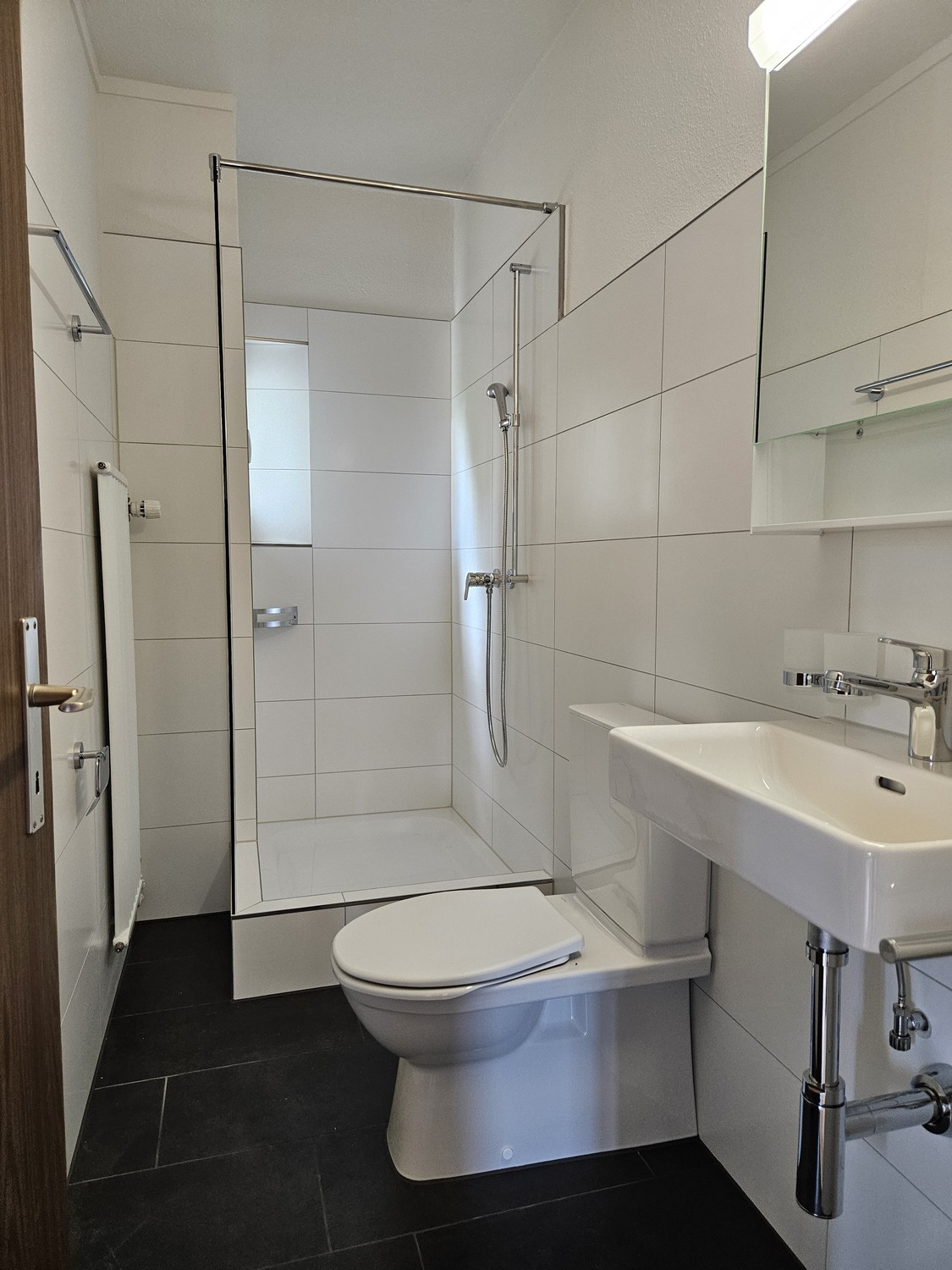 Appartamento di 1 ½ locali, foto 2 di 7