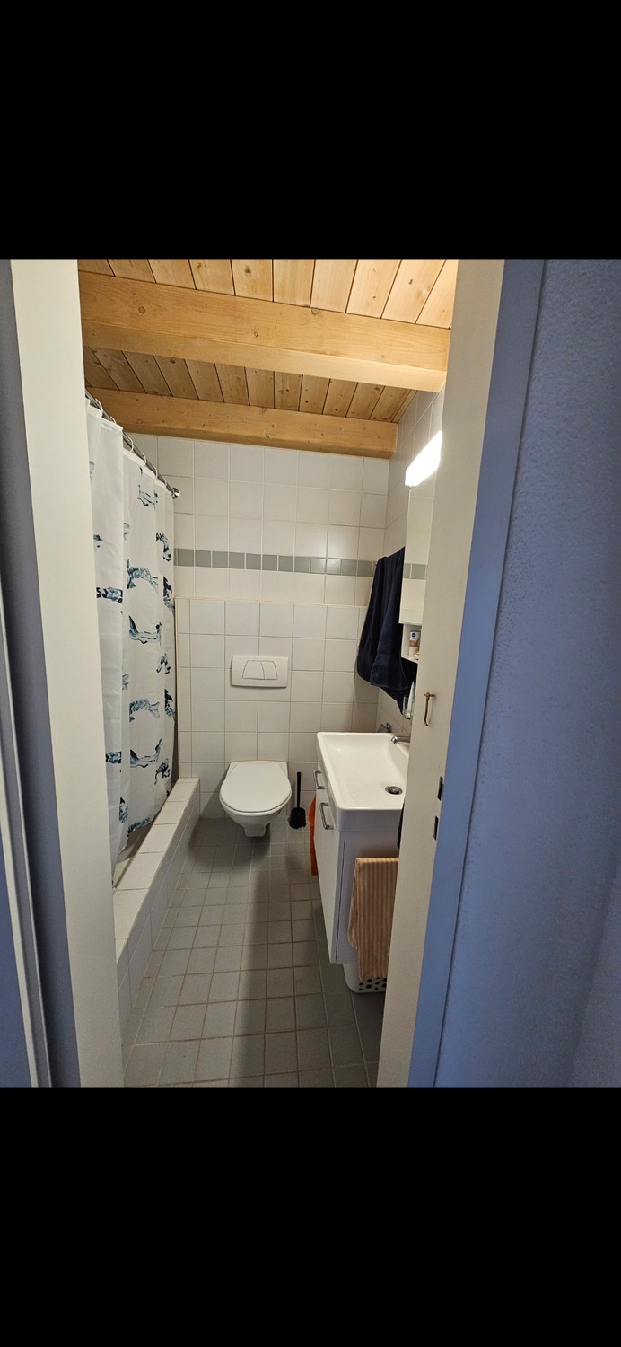Appartamento di 3 ½ locali, foto 6 di 10
