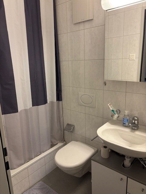 Appartamento di 3 ½ locali