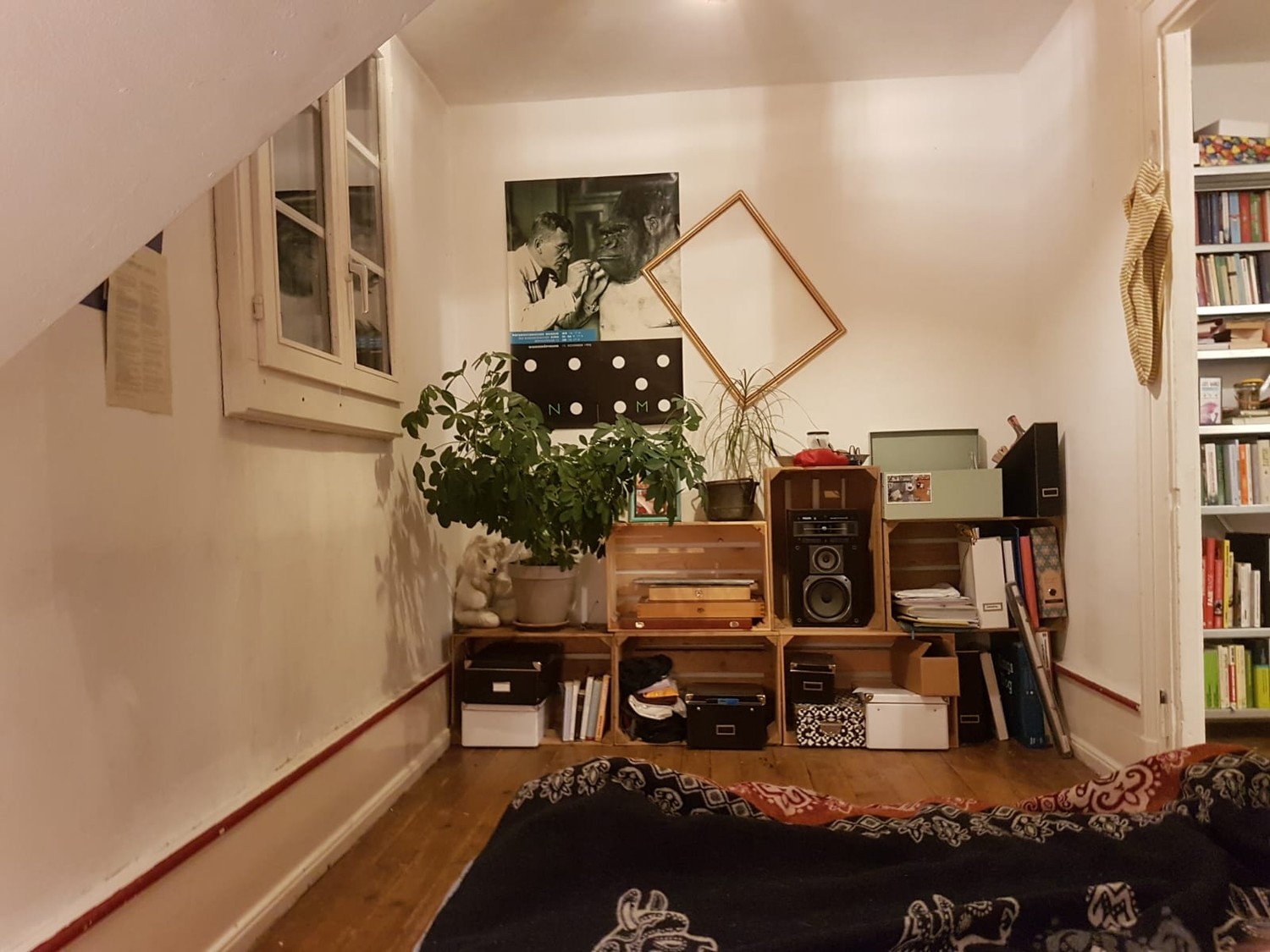 Camera in un appartamento condiviso, foto 3 di 3
