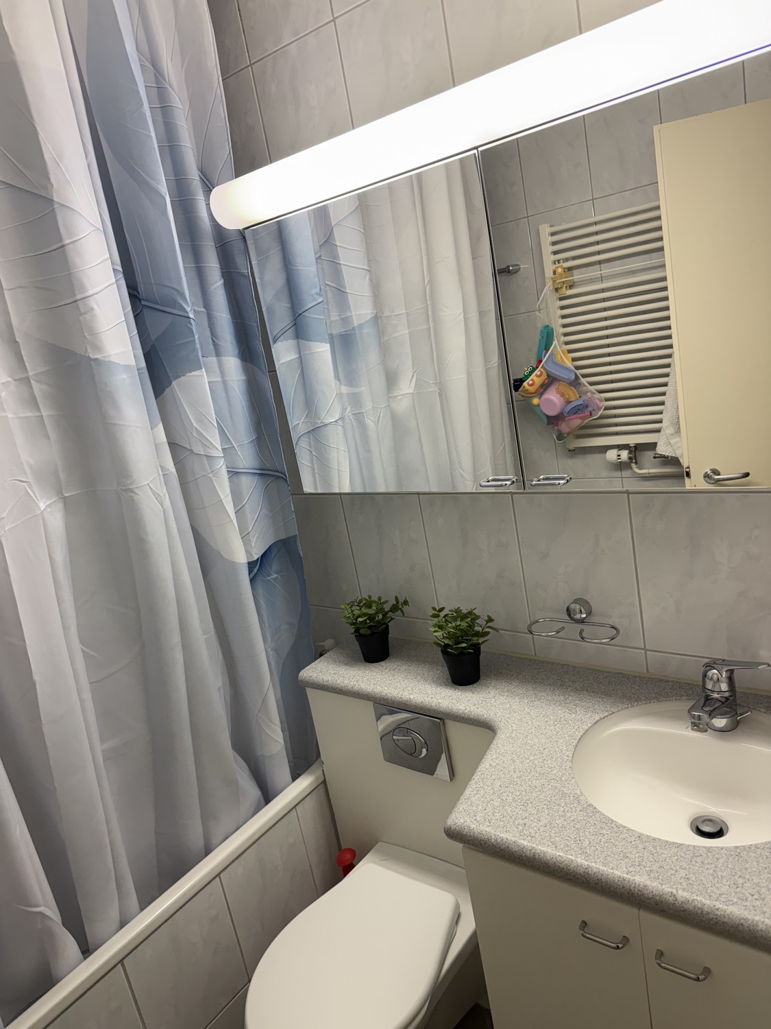 Appartamento di 2 ½ locali, foto 4 di 10