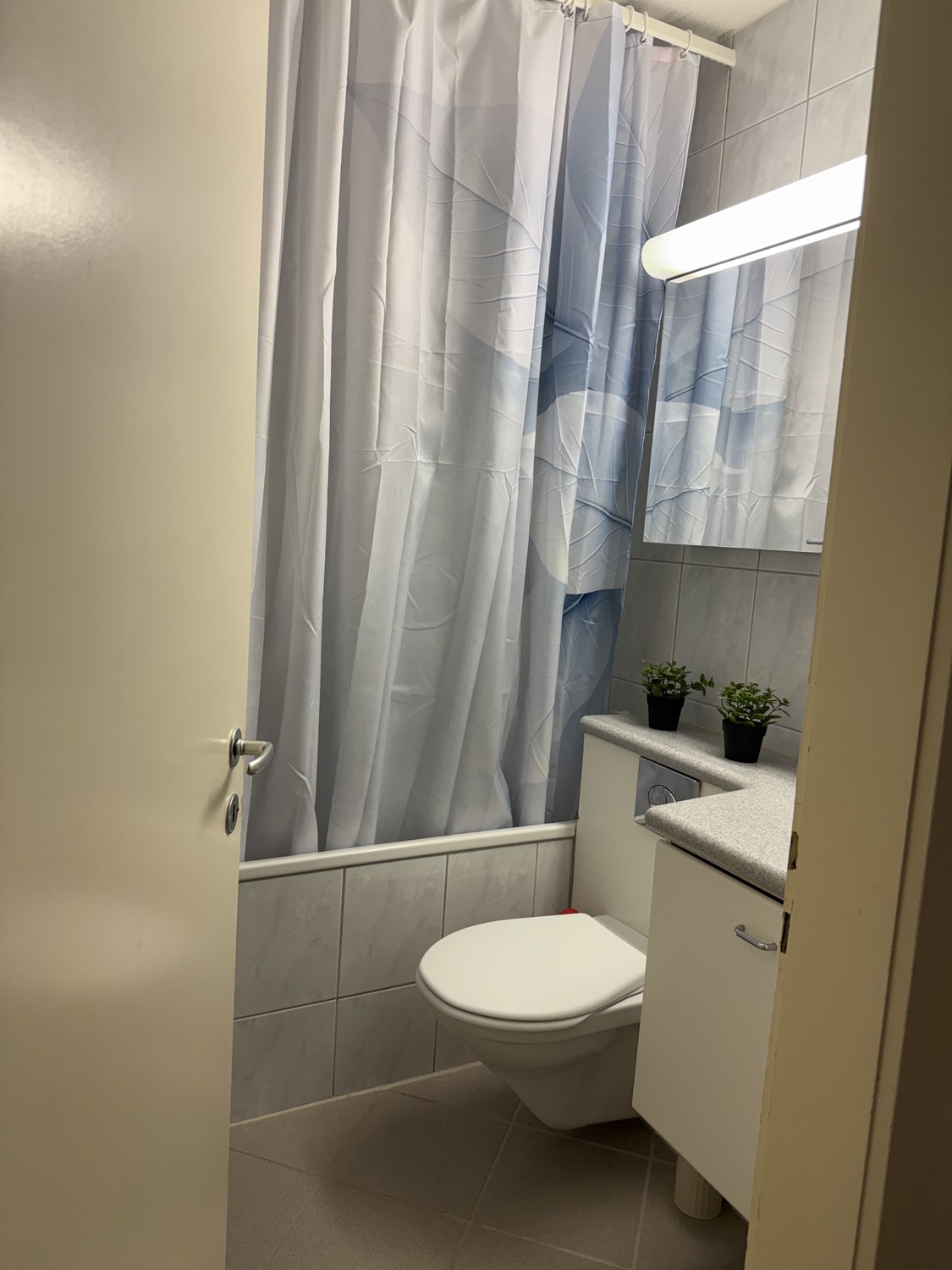 Appartamento di 2 ½ locali, foto 3 di 10
