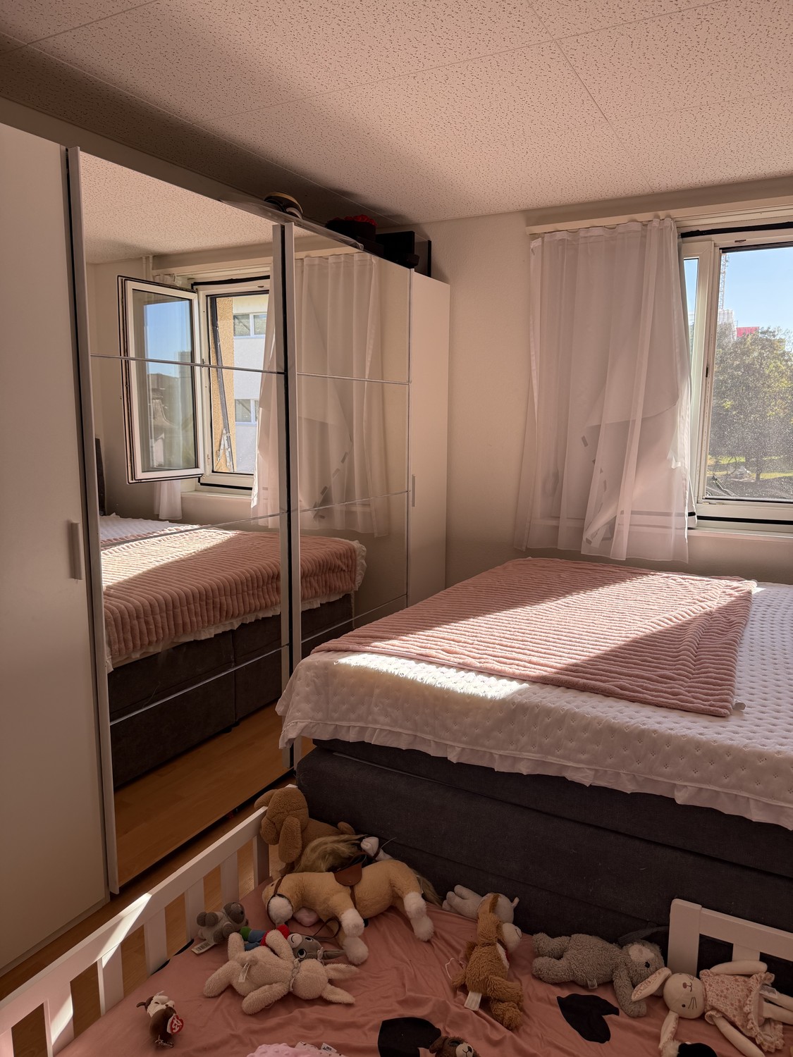 Appartamento di 2 ½ locali, foto 7 di 10