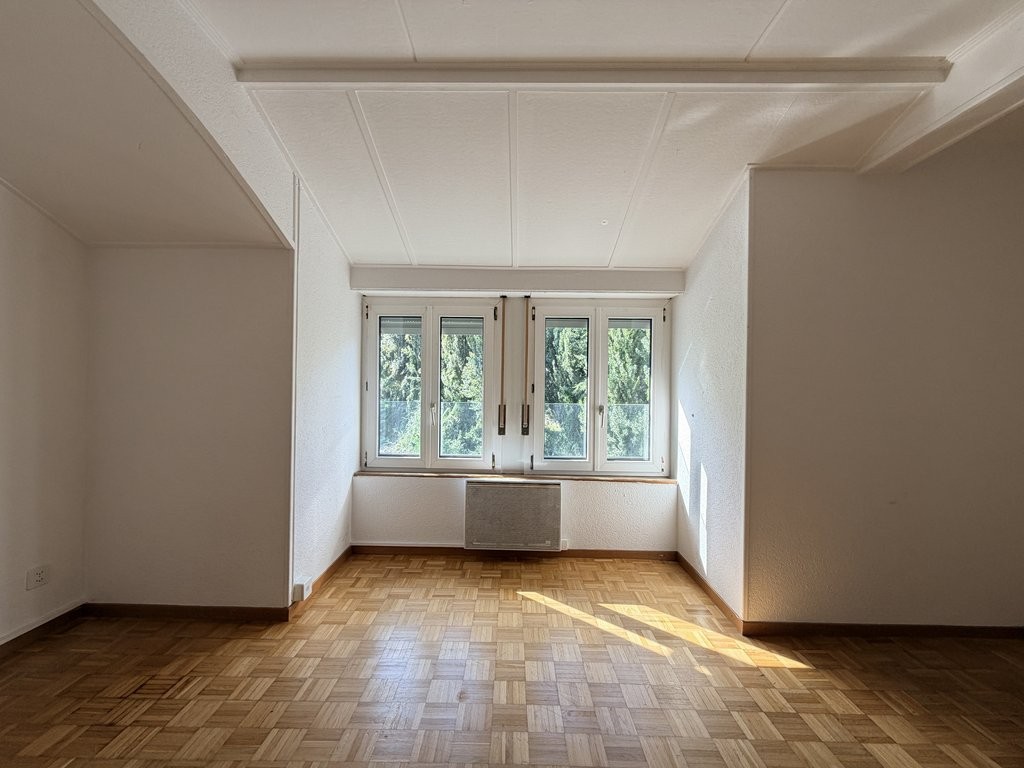 4 ½ Zimmer-Wohnung