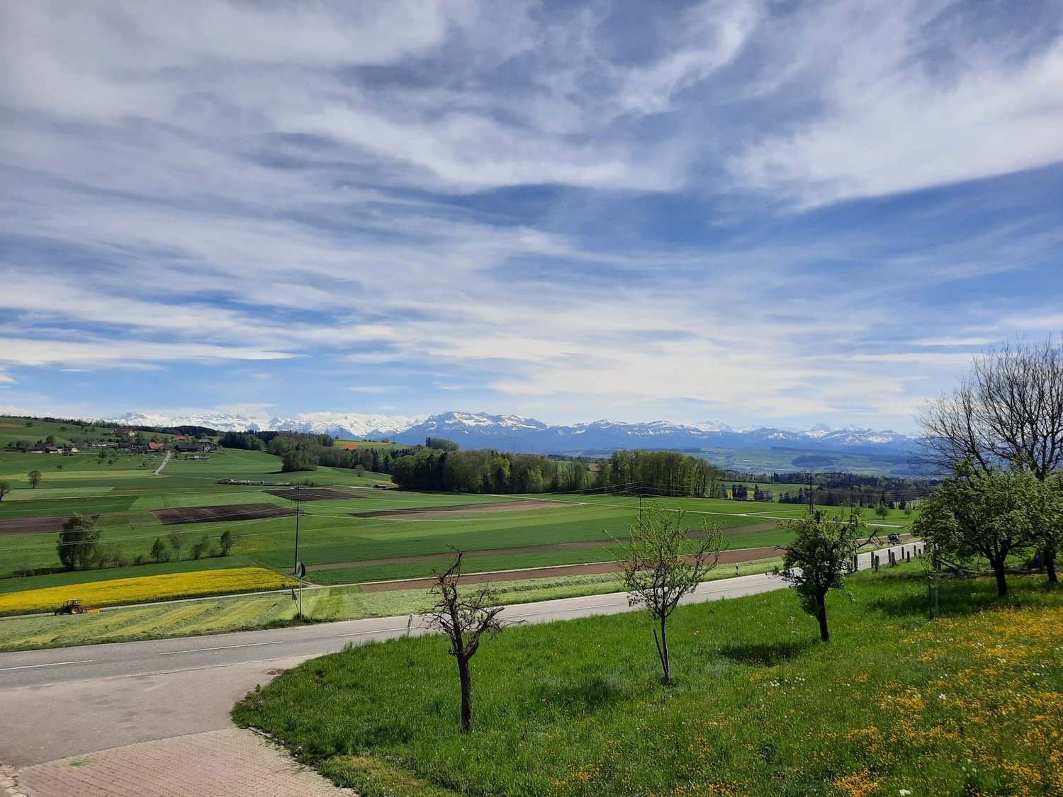 appartamento di 4 ½ locali, foto 2 di 5