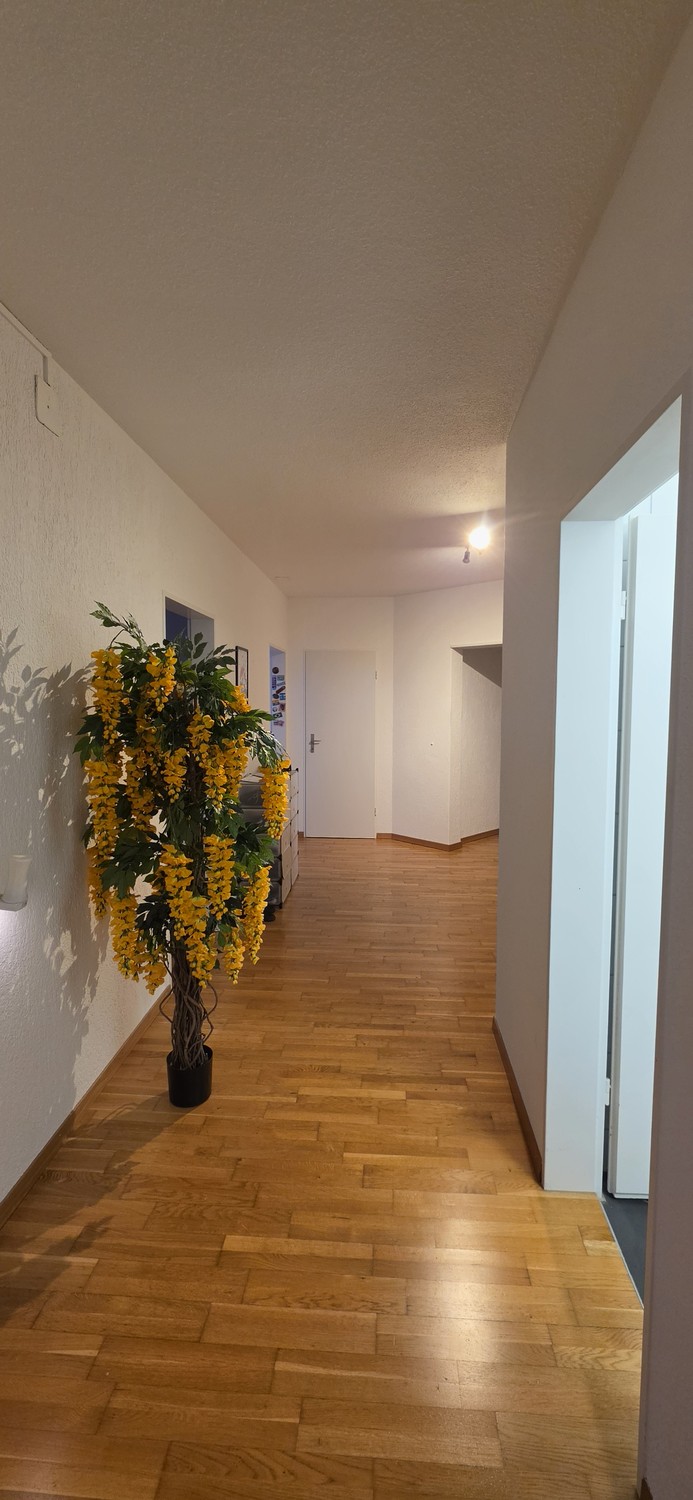 Camera in un appartamento condiviso, foto 8 di 10