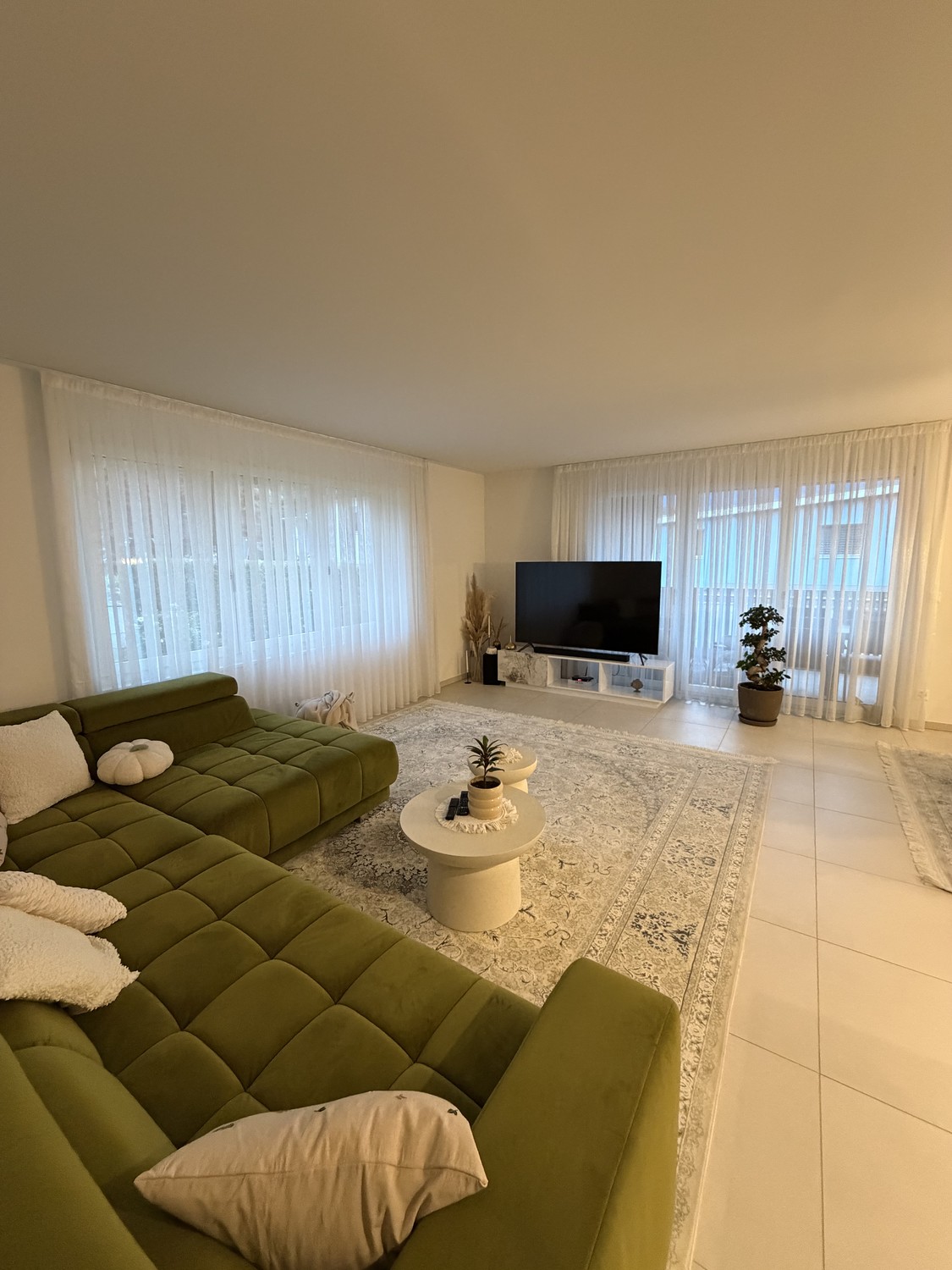Appartamento di 3 ½ locali