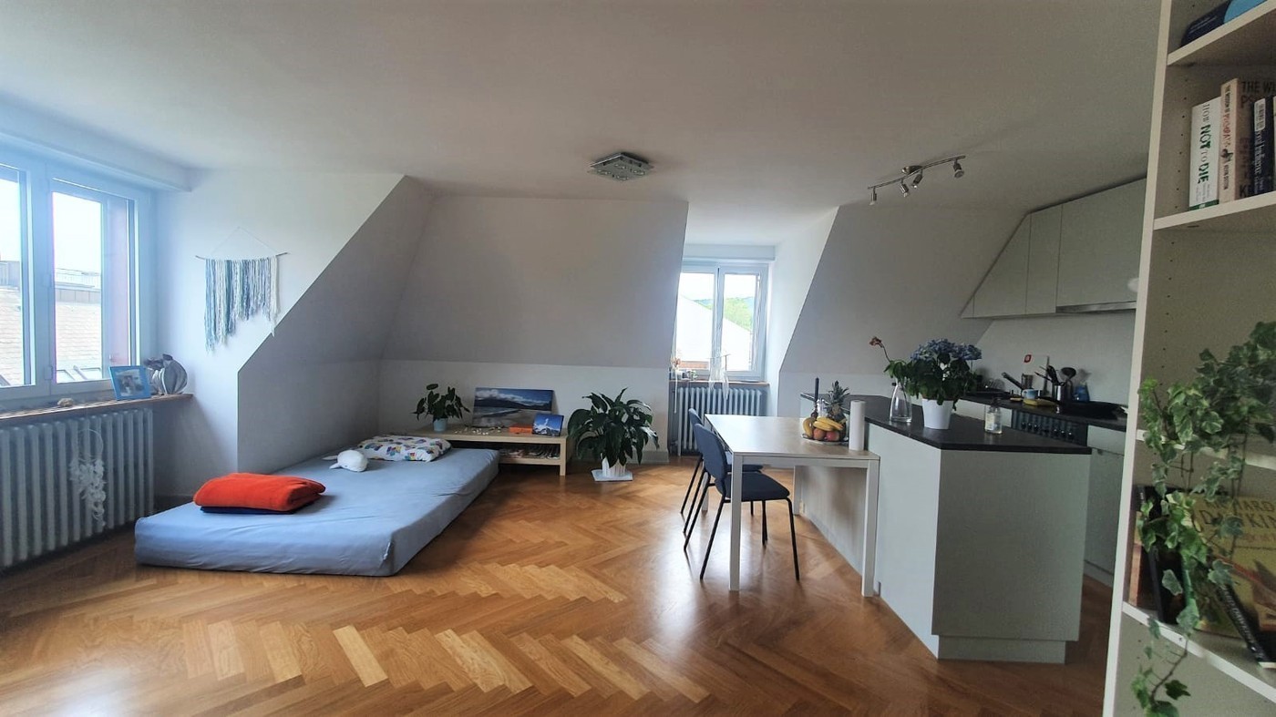 Appartamento di 2 ½ locali