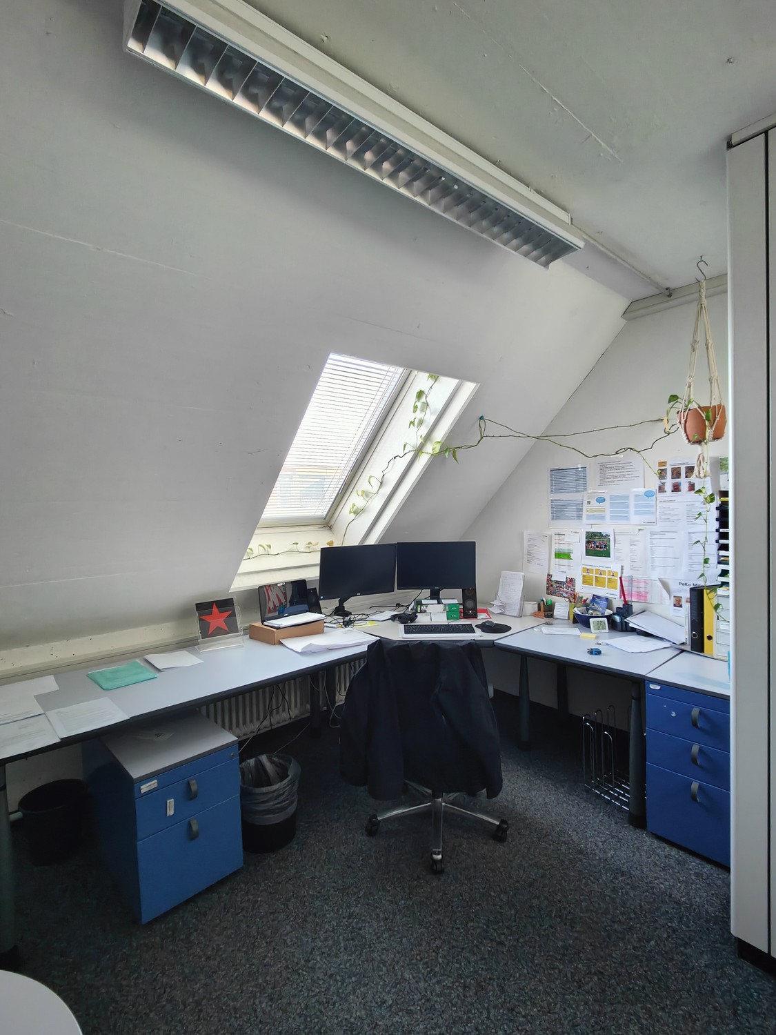 365m² office