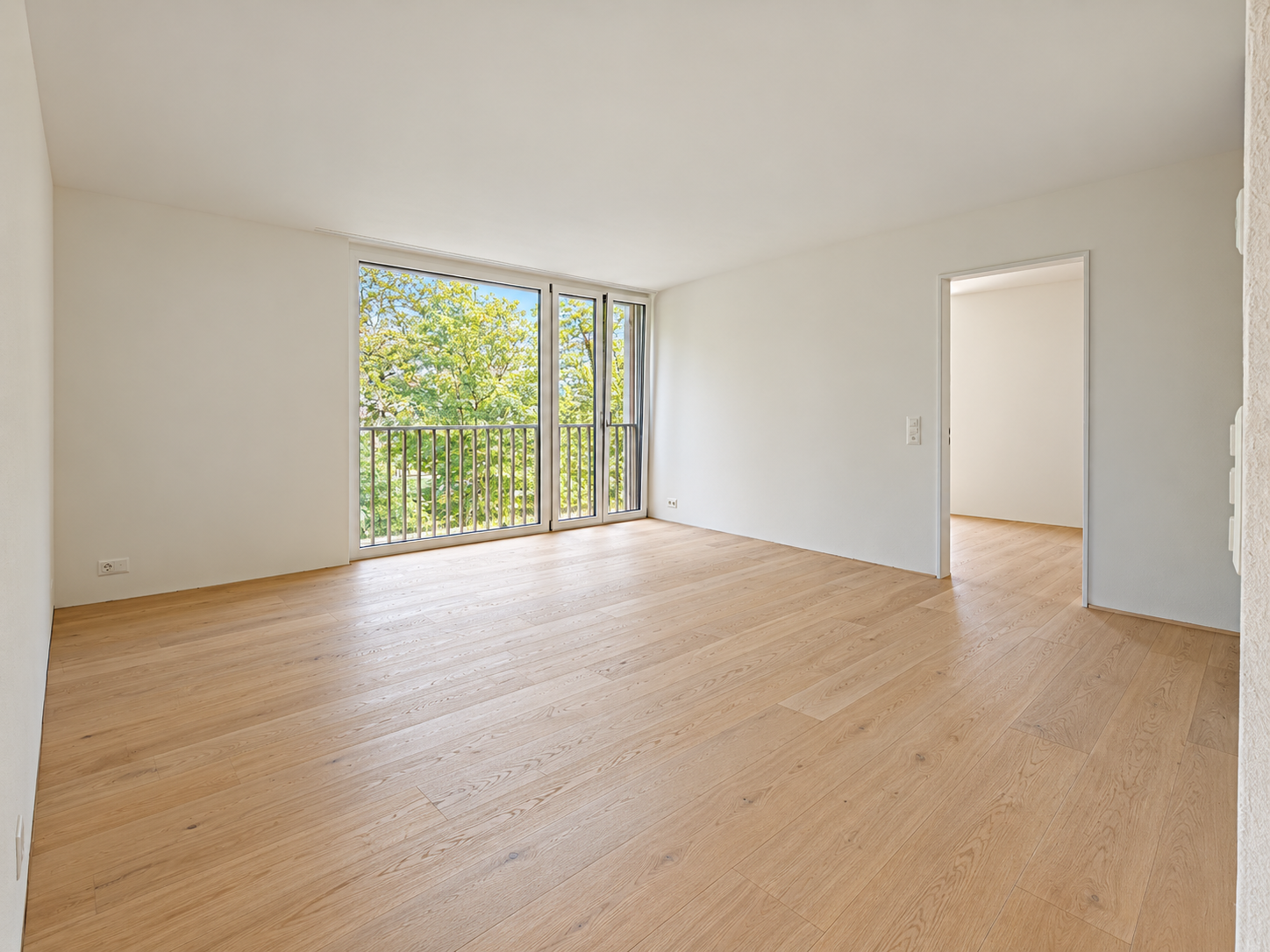4 ½ rooms apartment