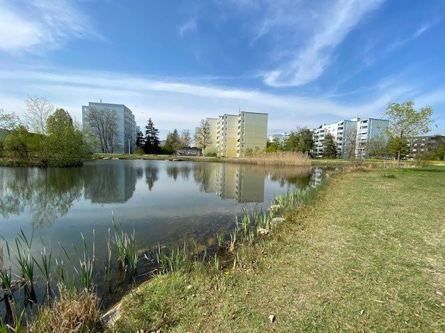 5 ½ rooms furnished flat