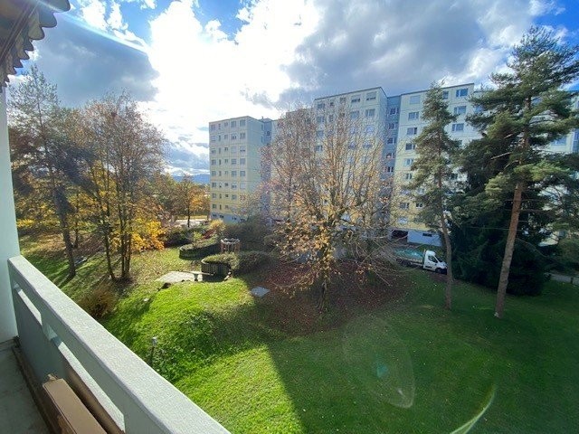 5 ½ rooms furnished flat