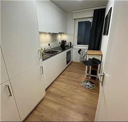 5 ½ rooms furnished flat