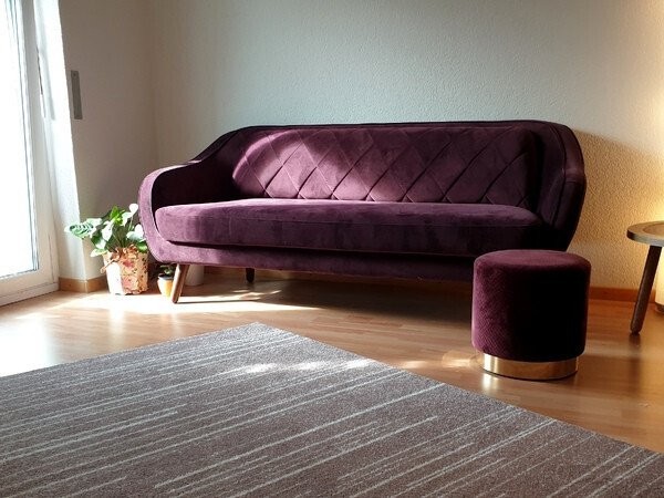 Appartamento arredato di 3 ½ locali, foto 2 di 7