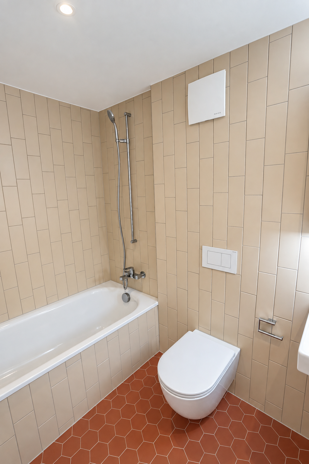 Duplex de 2 ½ pièces
