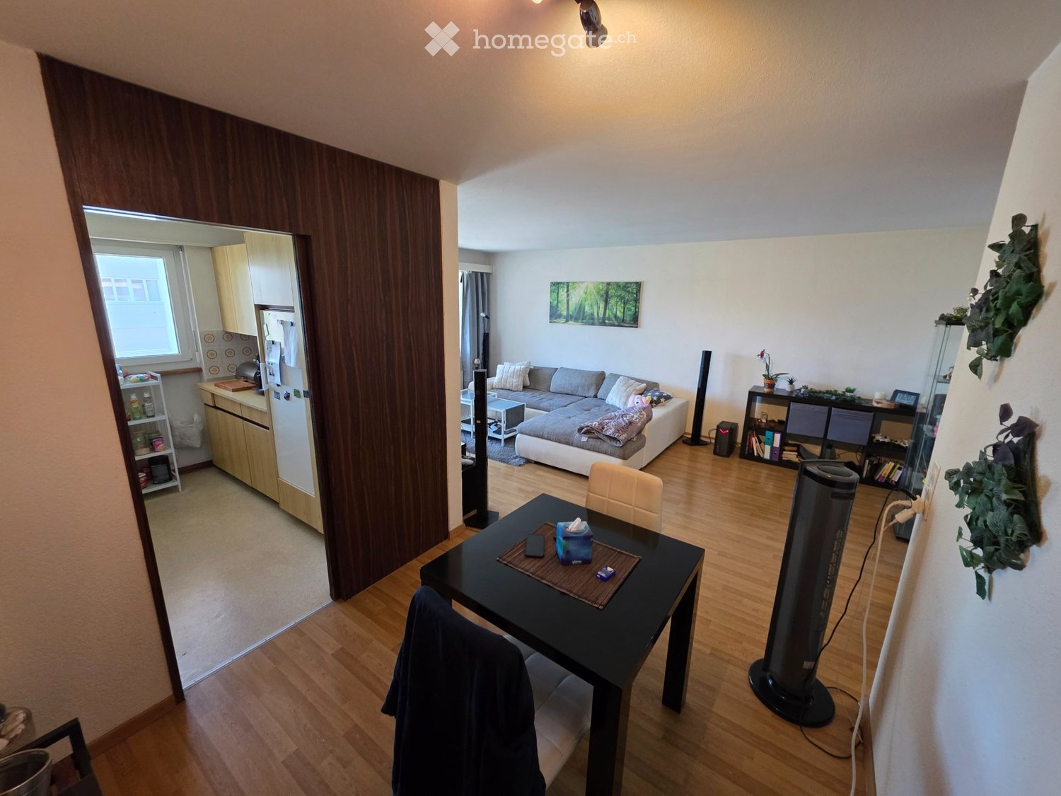 Appartamento di 3 ½ locali