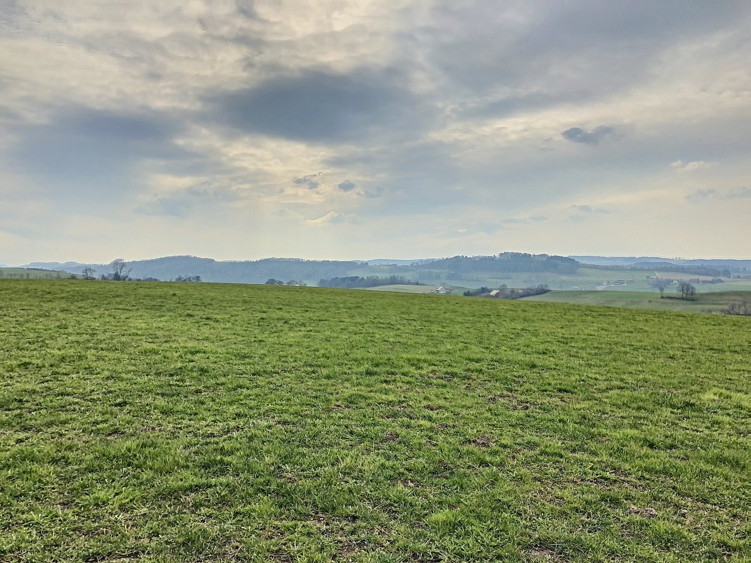 Appartamento di 3 ½ locali, foto 1 di 5