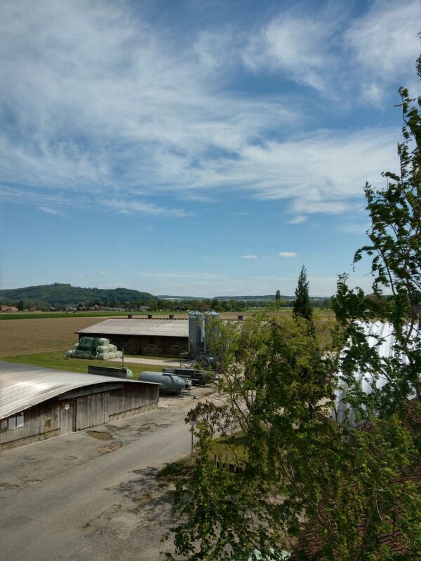 Appartamento di 3 ½ locali, foto 2 di 6