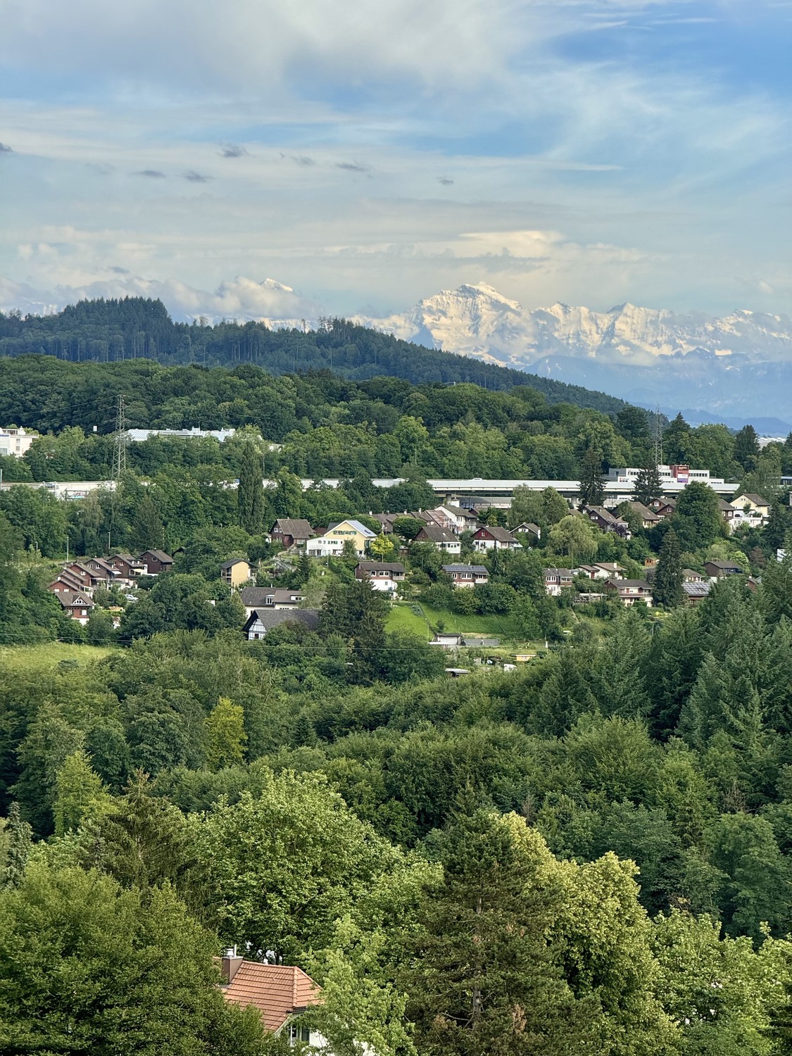 Appartamento di 2 ½ locali, foto 9 di 9