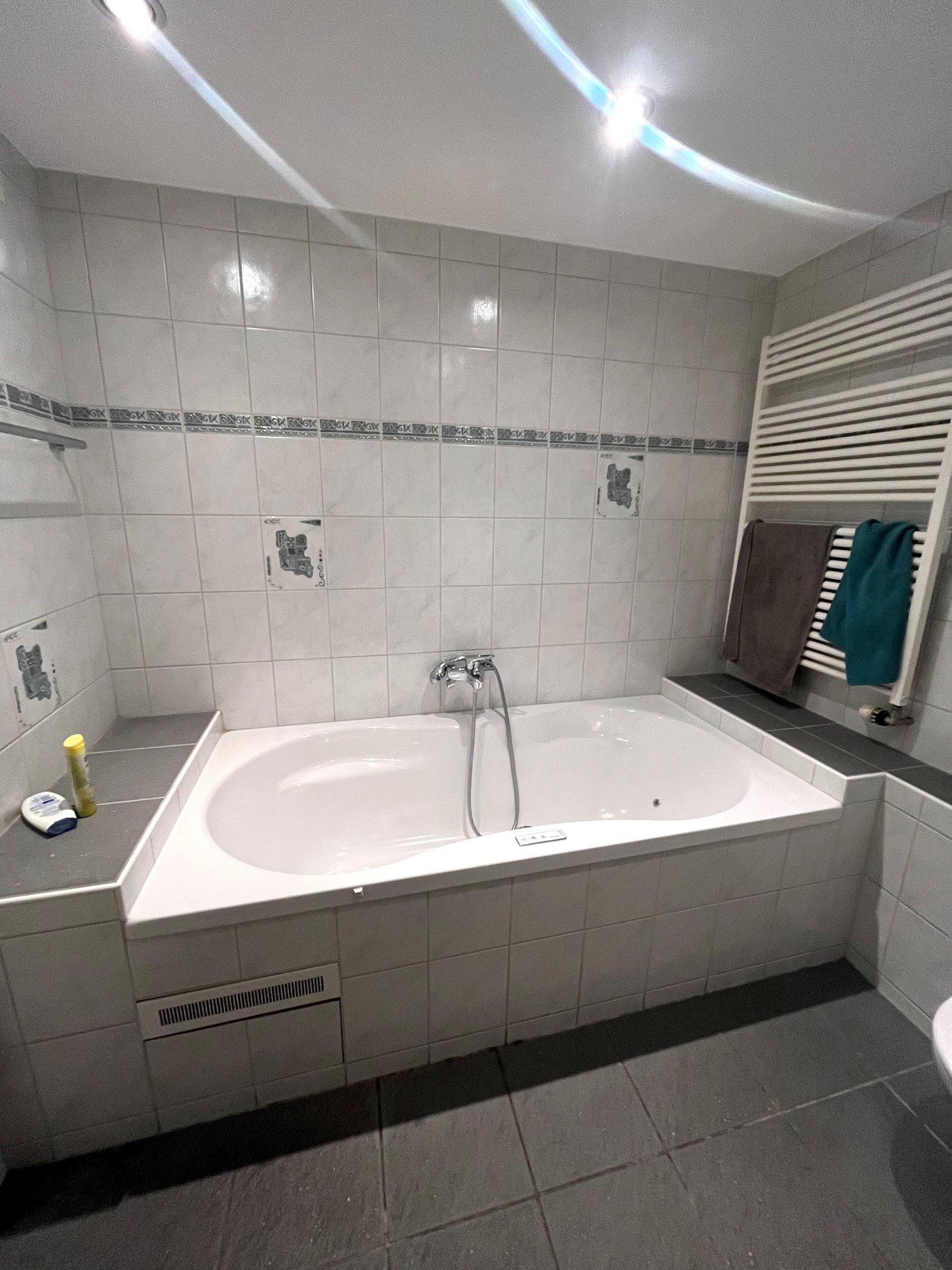 appartement meublé 1 pièce
