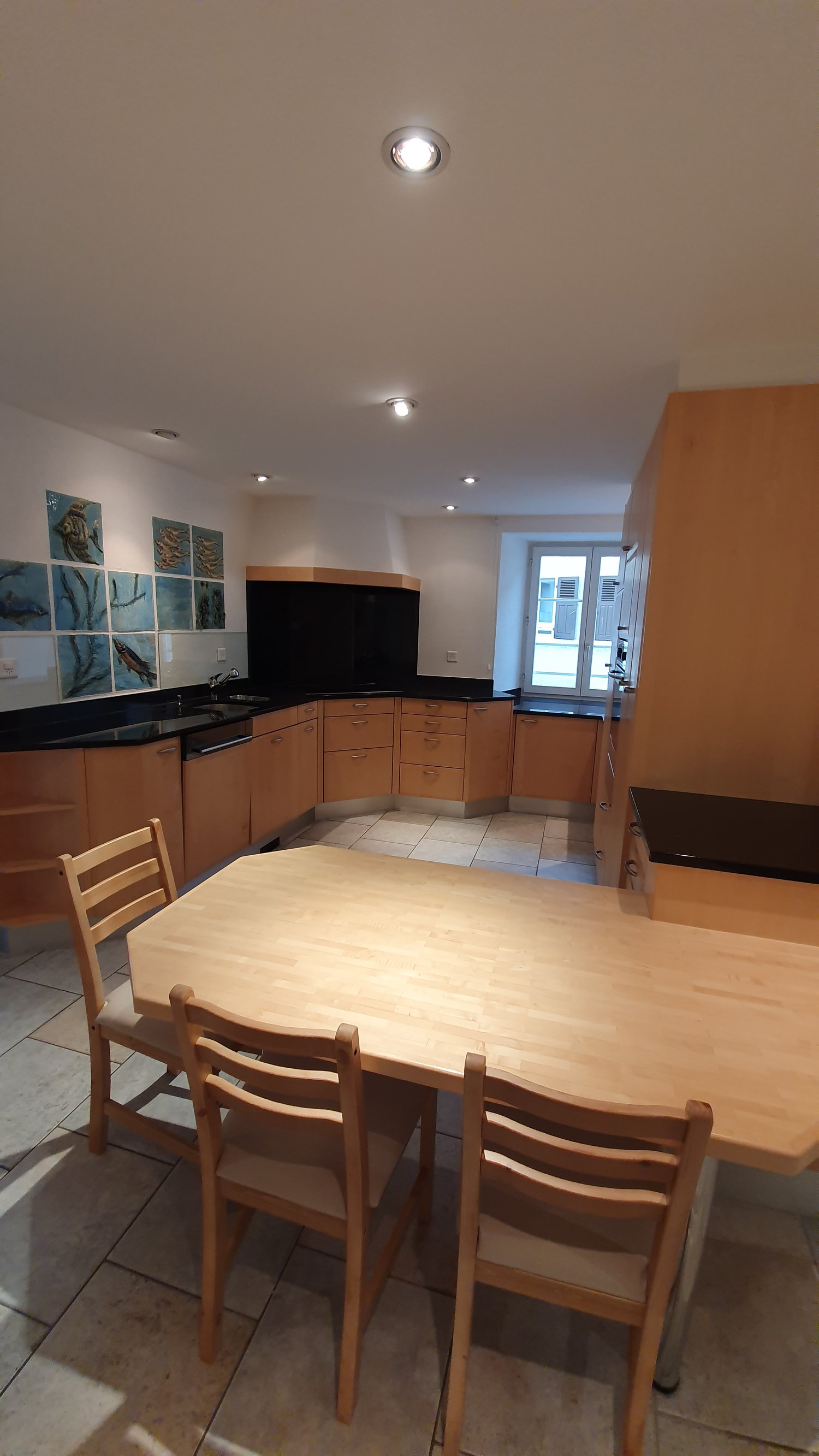 appartement meublé 1 pièce