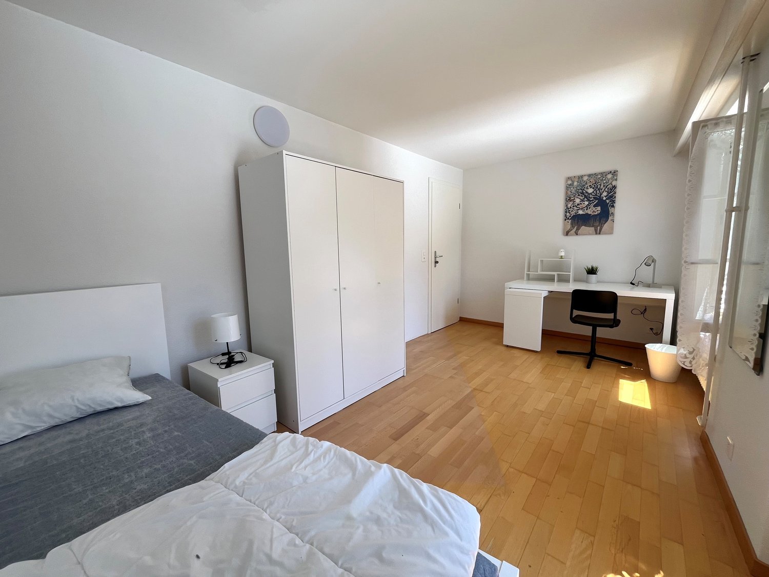appartement meublé 1 pièce
