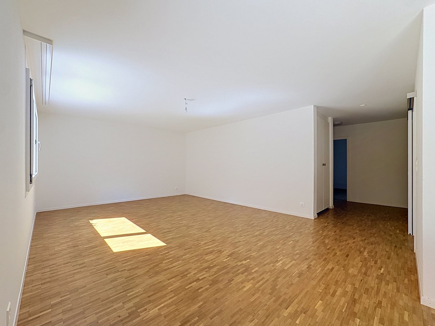 3 ½ Zimmer-Wohnung