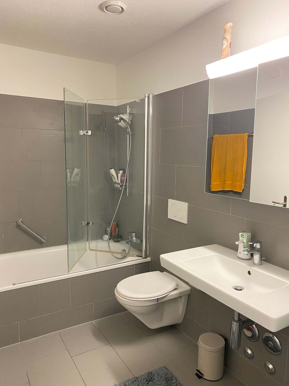 2 ½ rooms apartment