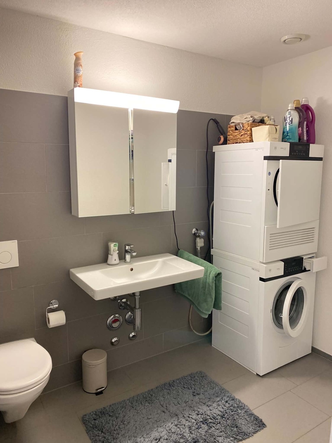 2 ½ rooms apartment
